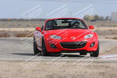 media/Nov-02-2025-Lotus Club of SoCal (Sun) [[dc384ab7f7]]/Novice Group/Cotton Corners/